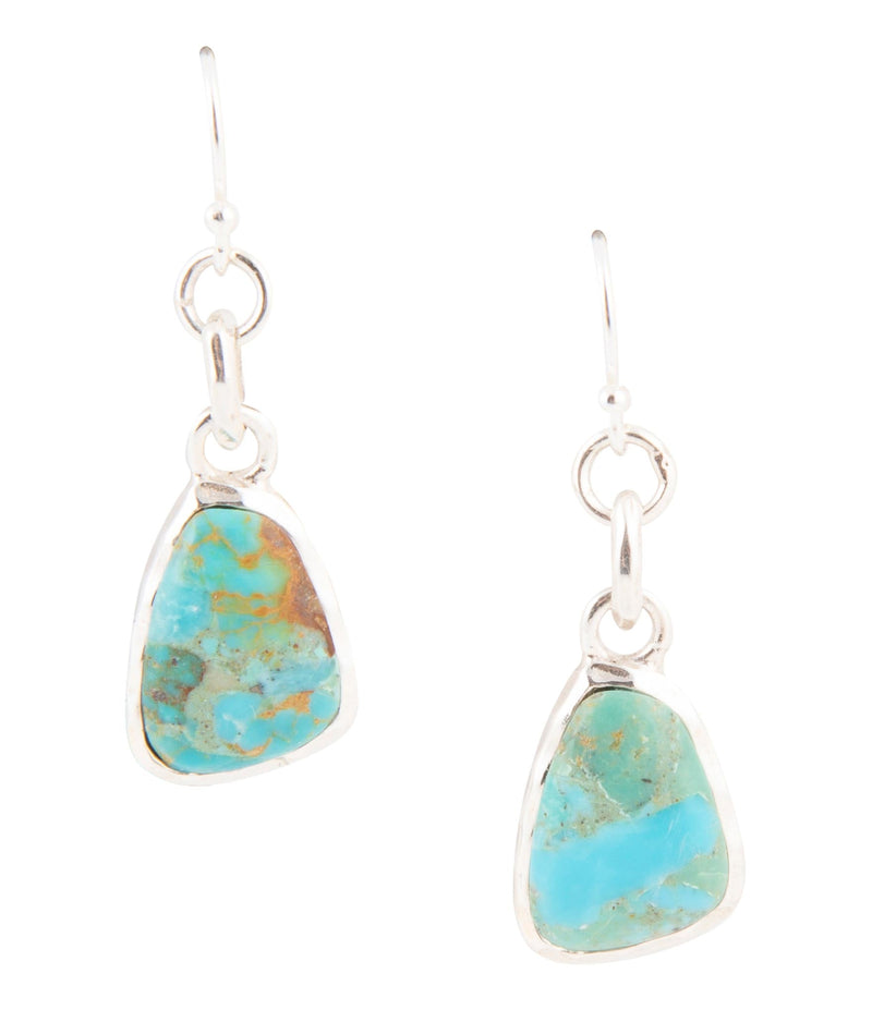 Blue Turquoise and Sterling Silver Drop Earrings - Barse Jewelry