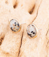 Dalmatian Jasper Golden Post Earrings - Barse Jewelry